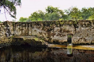 Suwanee Spa